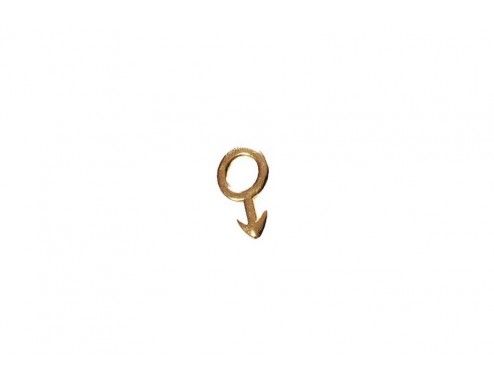 Colgante símbolo masculino...