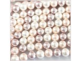 Tira perla de nácar 8mm...