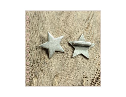 Estrella pasador 10mm
